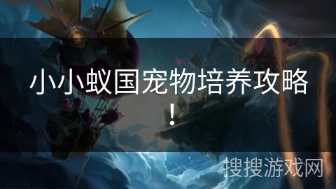 小小蚁国宠物培养攻略! 小小蚁国宠物培养攻略!