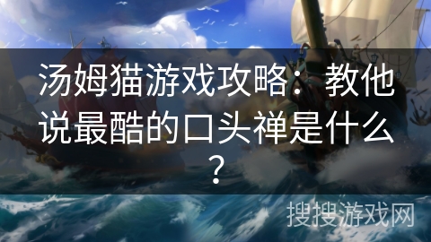 汤姆猫游戏攻略：教他说最酷的口头禅是什么？