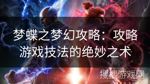 梦蝶之梦幻攻略：攻略游戏技法的绝妙之术