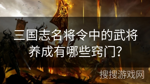 三国志名将令中的武将养成有哪些窍门?