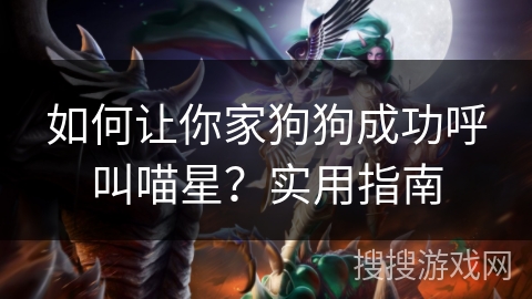如何让你家狗狗成功呼叫喵星?实用指南 如何让你家狗狗成功呼叫喵星?实用指南