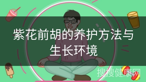 紫花前胡的养护方法与生长环境