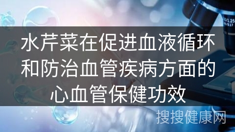 水芹菜在促进血液循环和防治血管疾病方面的心血管保健功效