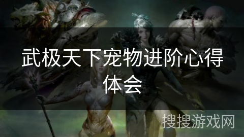 武极天下宠物进阶心得体会