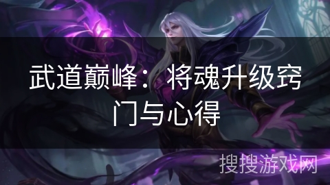 武道巅峰：将魂升级窍门与心得