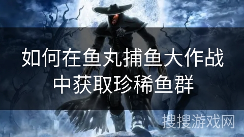 如何在鱼丸捕鱼大作战中获取珍稀鱼群 如何在鱼丸捕鱼大作战中获取珍稀鱼群