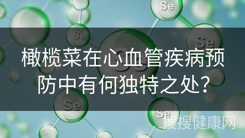 橄榄菜在心血管疾病预防中有何独特之处？