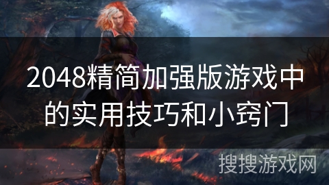 2048精简加强版游戏中的实用技巧和小窍门 2048精简加强版游戏中的实用技巧和小窍门