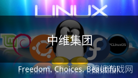 中维集团