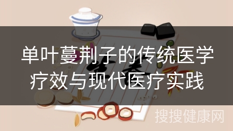 单叶蔓荆子的传统医学疗效与现代医疗实践