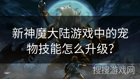新神魔大陆游戏中的宠物技能怎么升级？