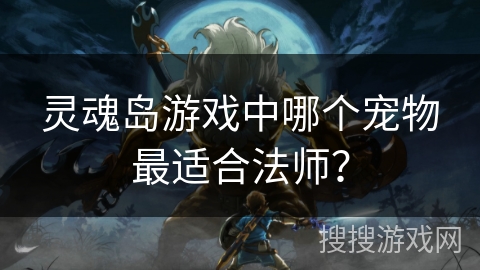 灵魂岛游戏中哪个宠物最适合法师？