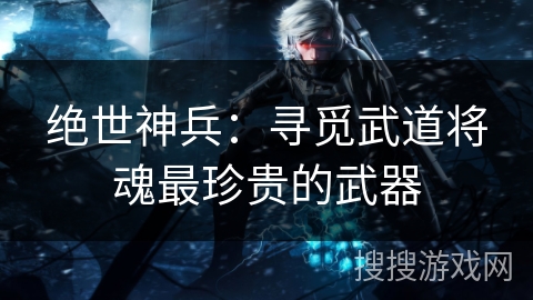 绝世神兵：寻觅武道将魂最珍贵的武器