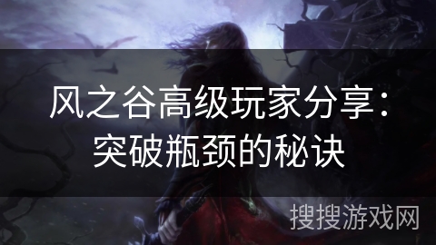 风之谷高级玩家分享：突破瓶颈的秘诀