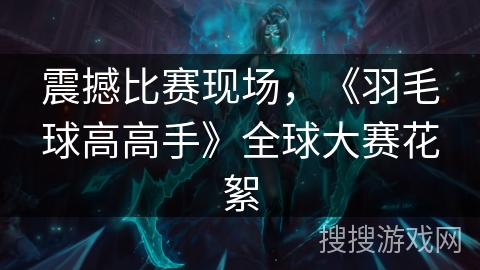 震撼比赛现场,《羽毛球高高手》全球大赛花絮 震撼比赛现场,《羽毛球高高手》全球大赛花絮