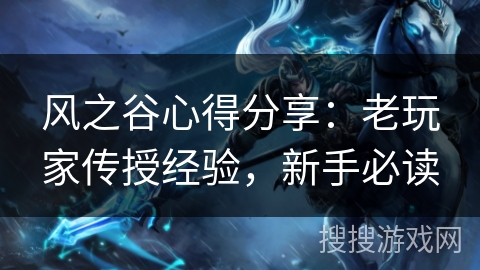 风之谷心得分享：老玩家传授经验，新手必读