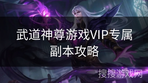武道神尊游戏VIP专属副本攻略