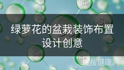 绿萝花的盆栽装饰布置设计创意