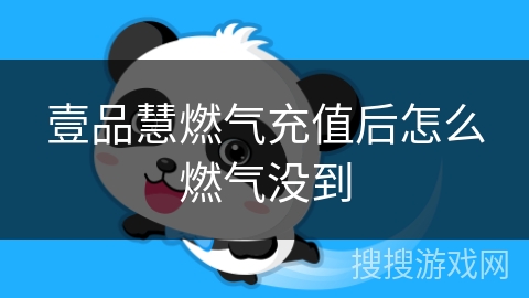 壹品慧燃气充值后怎么燃气没到 壹品慧燃气充值后怎么燃气没到
