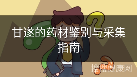 甘遂的药材鉴别与采集指南