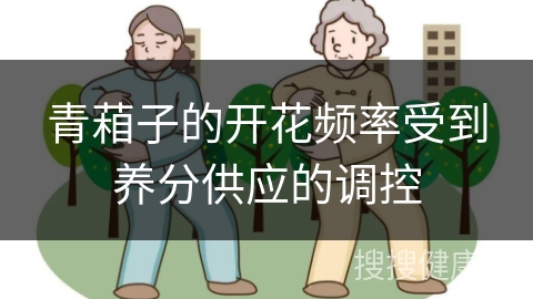 青葙子的开花频率受到养分供应的调控