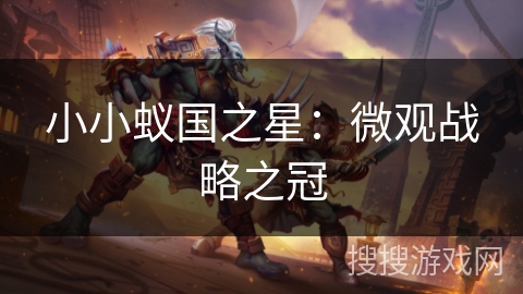 小小蚁国之星：微观战略之冠