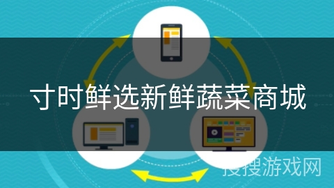 寸时鲜选新鲜蔬菜商城