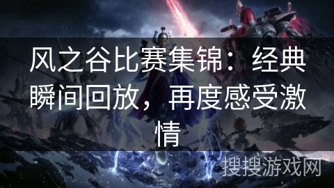风之谷比赛集锦：经典瞬间回放，再度感受激情