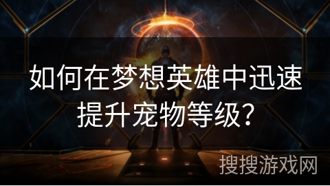 如何在梦想英雄中迅速提升宠物等级？