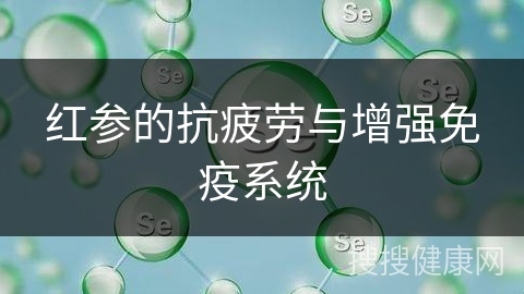 红参的抗疲劳与增强免疫系统