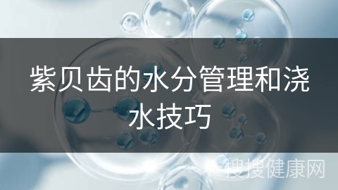 紫贝齿的水分管理和浇水技巧