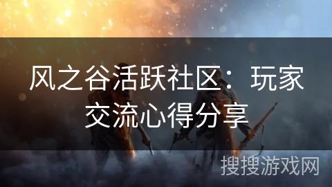 风之谷活跃社区：玩家交流心得分享