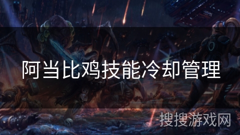 阿当比鸡技能冷却管理