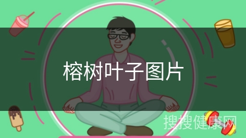 榕树叶子图片