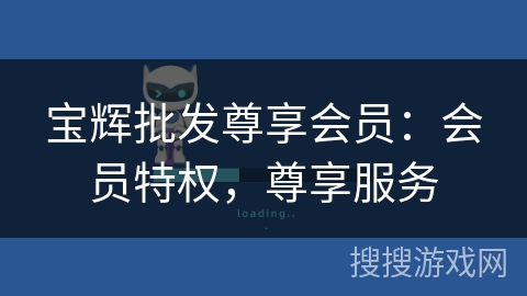 宝辉批发尊享会员：会员特权，尊享服务