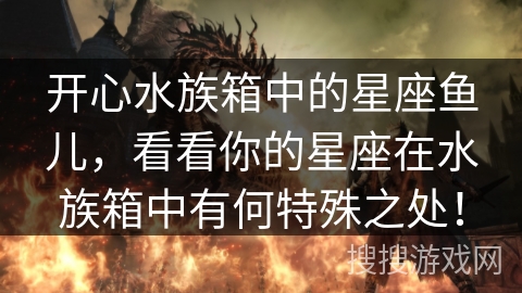 开心水族箱中的星座鱼儿，看看你的星座在水族箱中有何特殊之处！