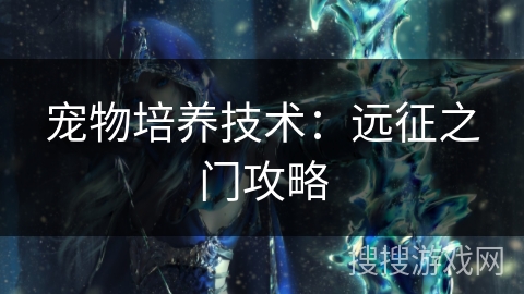 宠物培养技术：远征之门攻略