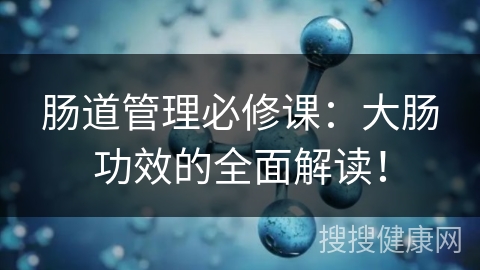 肠道管理必修课：大肠功效的全面解读！