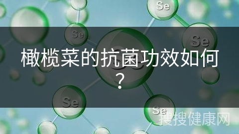 橄榄菜的抗菌功效如何？