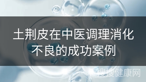 土荆皮在中医调理消化不良的成功案例