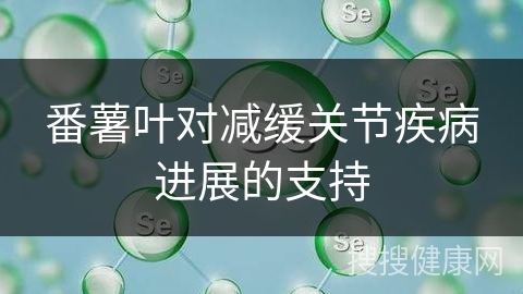 番薯叶对减缓关节疾病进展的支持