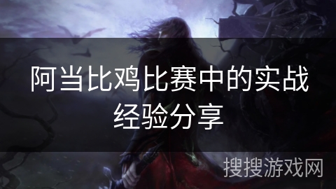 阿当比鸡比赛中的实战经验分享
