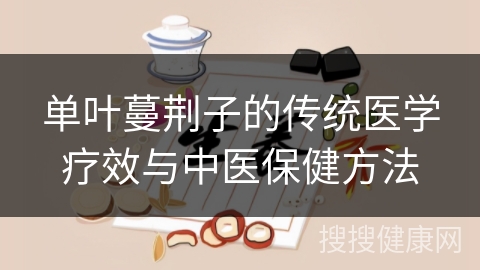 单叶蔓荆子的传统医学疗效与中医保健方法