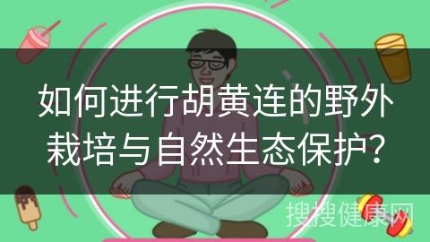 如何进行胡黄连的野外栽培与自然生态保护？