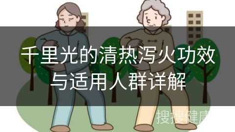 千里光的清热泻火功效与适用人群详解