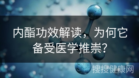 内酯功效解读，为何它备受医学推崇？