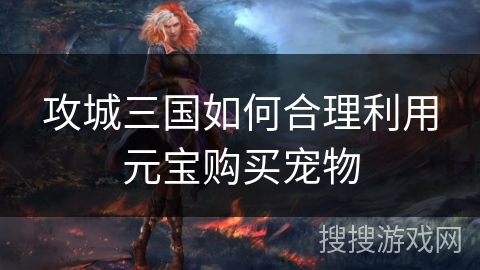 攻城三国如何合理利用元宝购买宠物