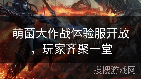 萌菌大作战体验服开放,玩家齐聚一堂 萌菌大作战体验服开放,玩家齐聚一堂
