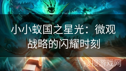 小小蚁国之星光:微观战略的闪耀时刻 小小蚁国之星光:微观战略的闪耀时刻