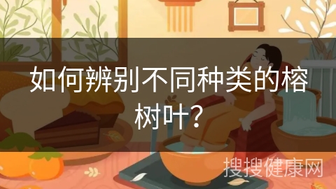 如何辨别不同种类的榕树叶？